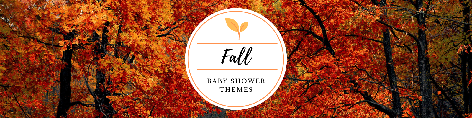 Fall Baby Shower Themes